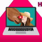 Horses Videos R Amazing!
