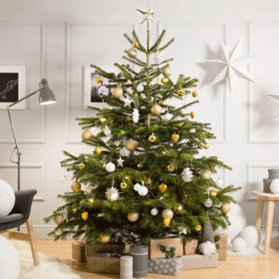 Natural Christmas Tree