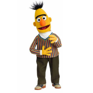Bert