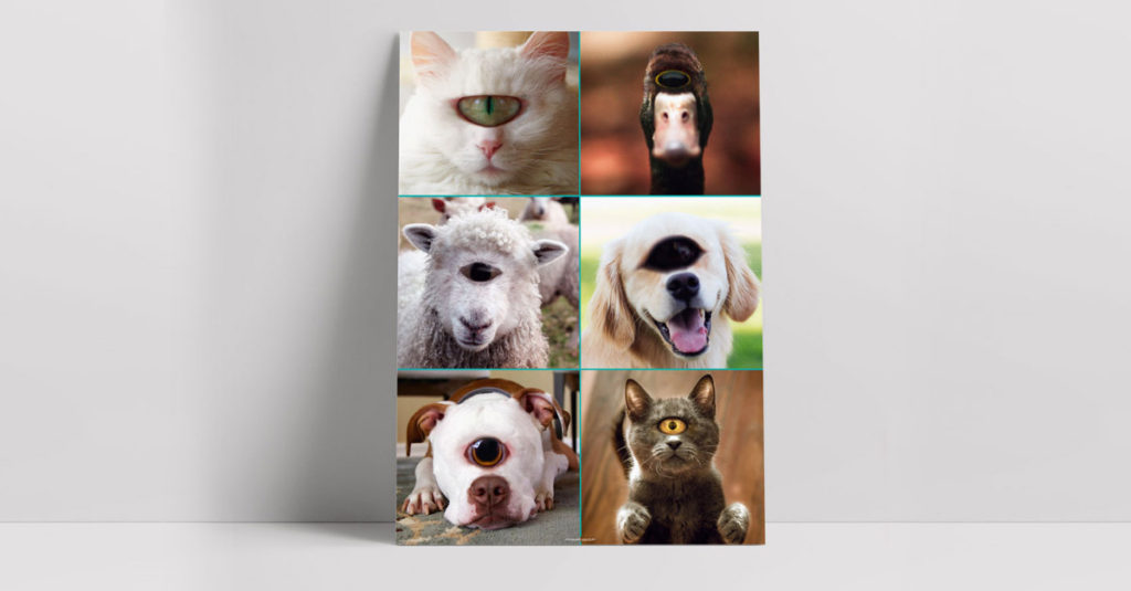 Cycloped Themed Products R-Amazing!