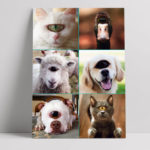 Cycloped Themed Products R-Amazing!