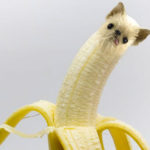 Dogs pretending to be food - Banana Dog