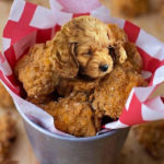 Dogs pretending to be food - Chicken Dog