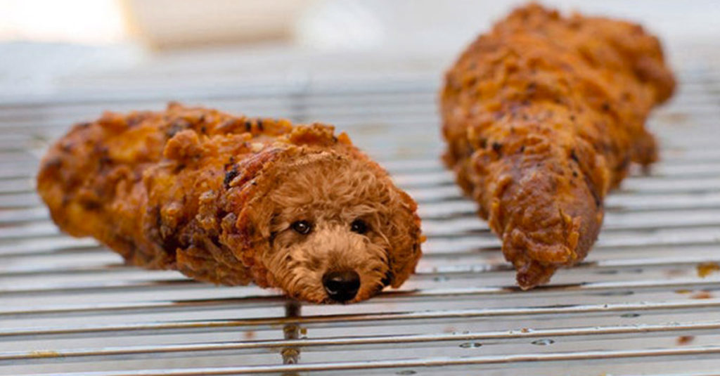 Dogs pretending to be food - Chicken Dog