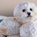 Dogs pretending to be food - Doughnut Dog