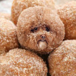 Dogs pretending to be food - Doughnut Dog