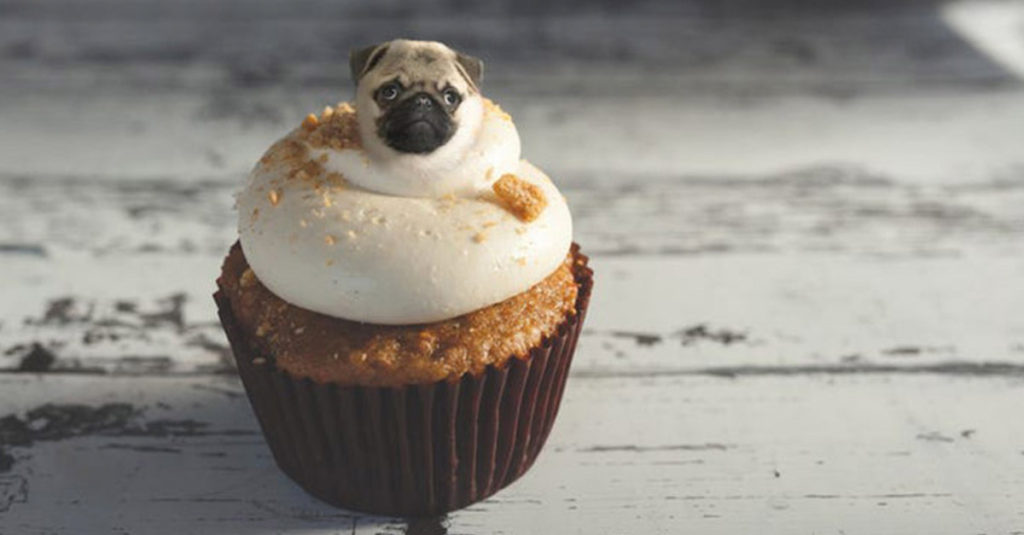 Dogs pretending to be food - Pug Cake