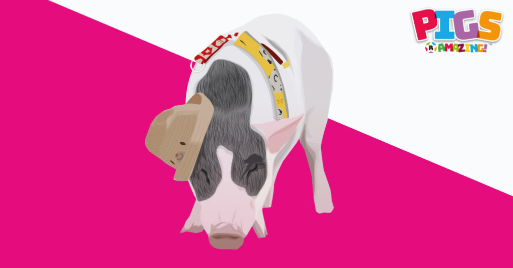 Pigs R Amazing! - Pigs May Fly