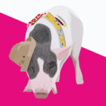 Pigs R Amazing! - Pigs May Fly