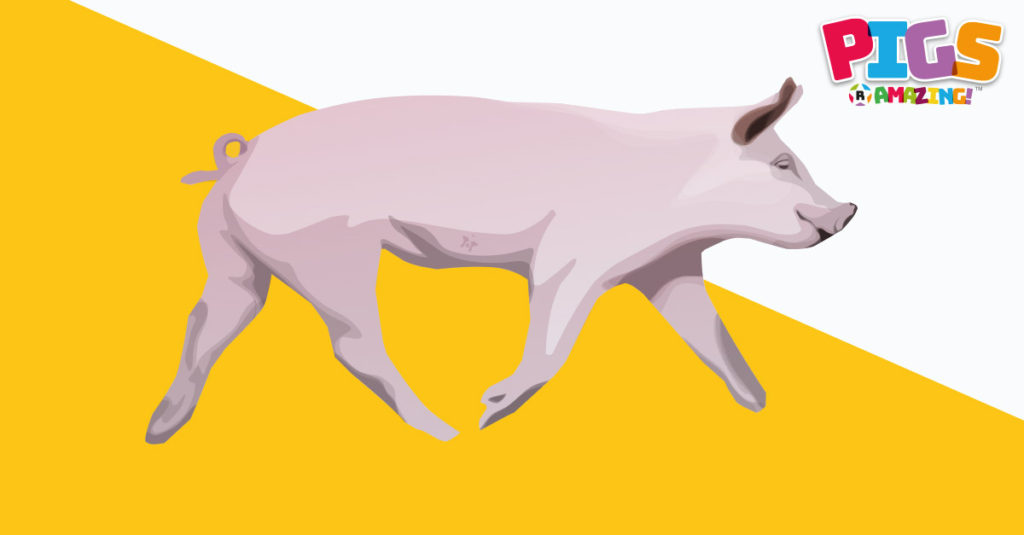 Pigs R Amazing! - Clean Pigs