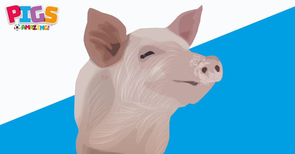 Pigs R Amazing! - Super Pigs