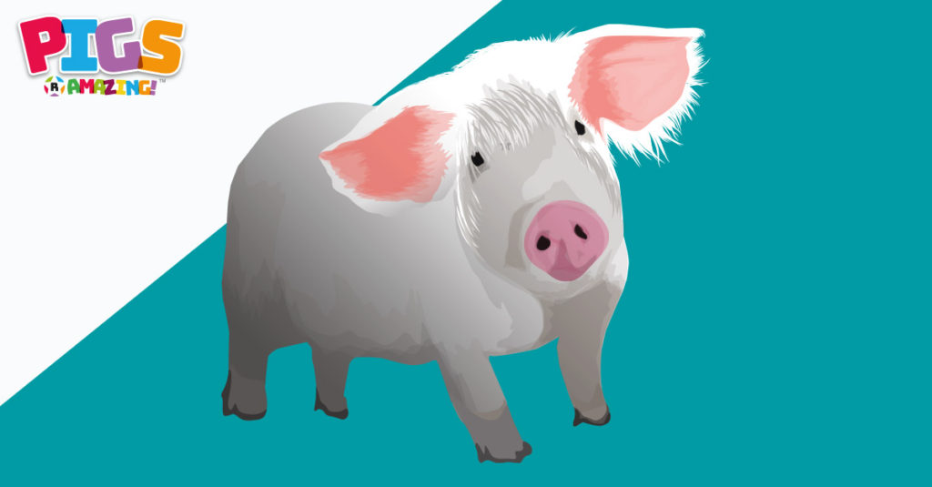 Pigs R Amazing! - Pigs are like humans