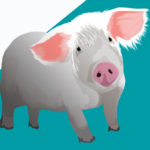 Pigs R Amazing! - Pigs are like humans