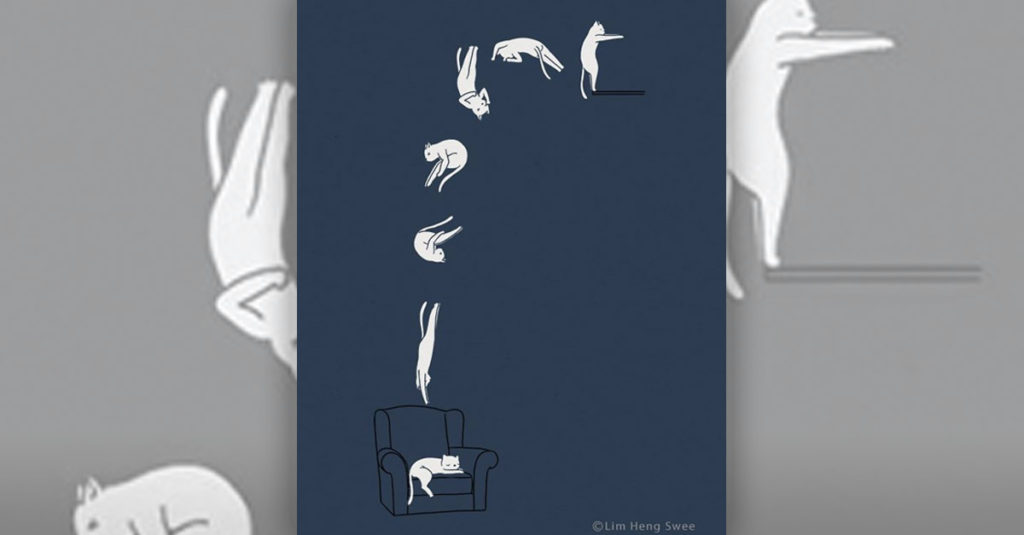 Minimal Cat Illustrations R Amazing