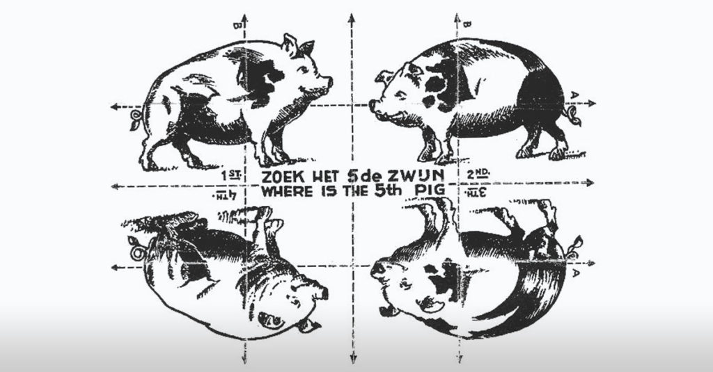 Pig Optical Illusions