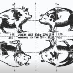 Pig Optical Illusions