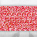 Pig Optical Illusions