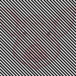 Pig Optical Illusions