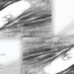 Pig Optical Illusions