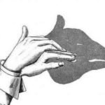 Pig Optical Illusions