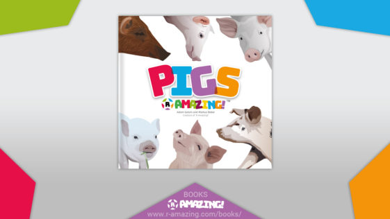 Pigs R Amazing!
