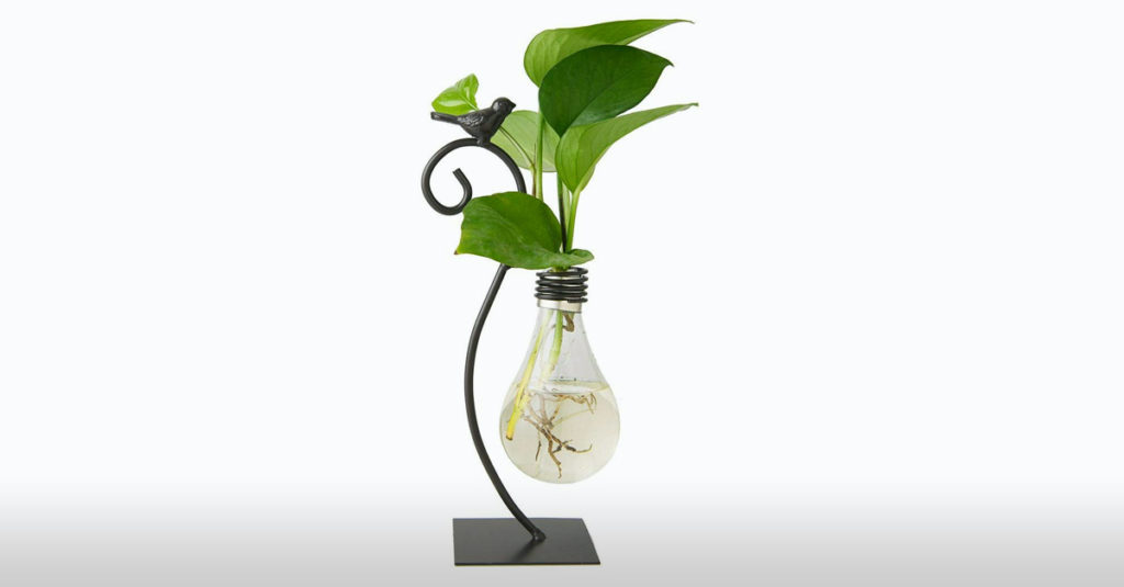 Vases R Amazing! - Light Bulb Vase