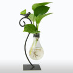 Vases R Amazing! - Light Bulb Vase