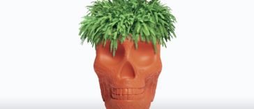 Vases R Amazing! - Skull Vase