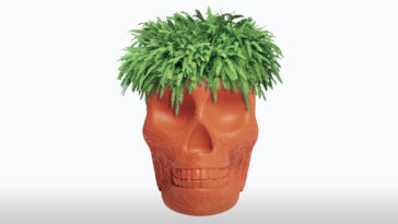 Vases R Amazing! - Skull Vase