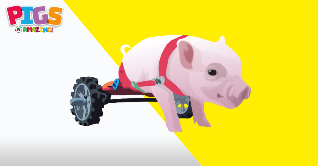 Pigs R Amazing! - Pig in a wheelchair
