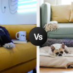 Living Room Dilemmas R Amazing!