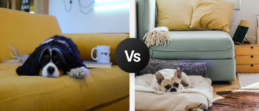 Living Room Dilemmas R Amazing!