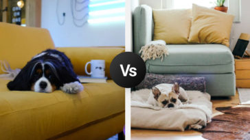 Living Room Dilemmas R Amazing!