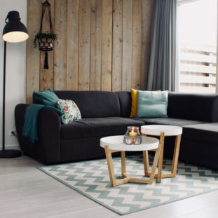 Living Room Dilemmas R Amazing! - Hard-floor and rug vs Carpet