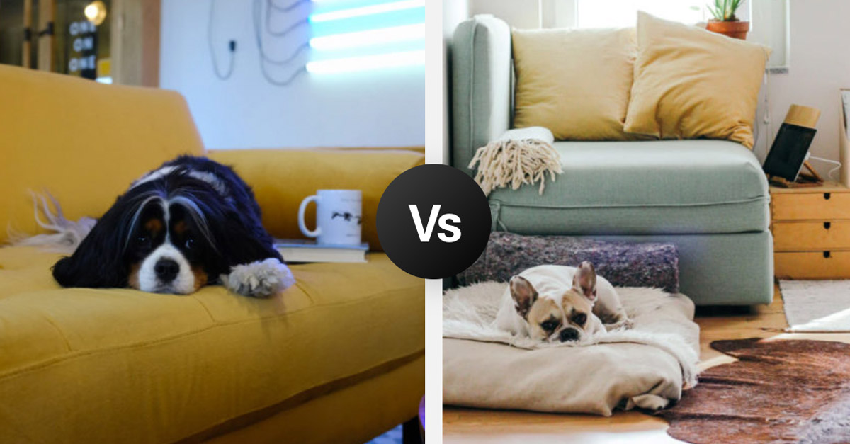 Living Room Dilemmas R Amazing!