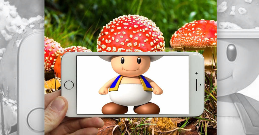 New Perspectives R Amazing! - Super Mario Mushroom as a real Mushroom