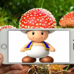 New Perspectives R Amazing! - Super Mario Mushroom as a real Mushroom