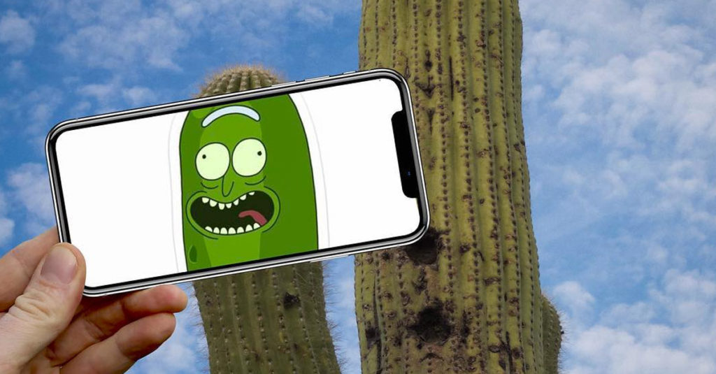 New Perspectives R Amazing! - Rick Pickle as a Cactus