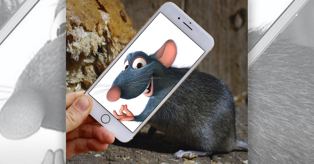 New Perspectives R Amazing! - Rat