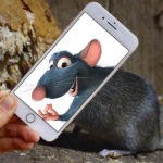 New Perspectives R Amazing! - Rat