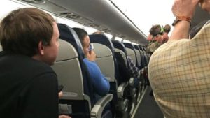 Pig on a plane