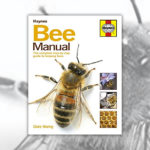 Books About Bees R Amazing! - Haynes Bee Manual