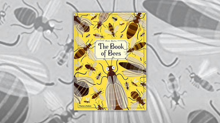 Books About Bees R Amazing! - The Book of Bees