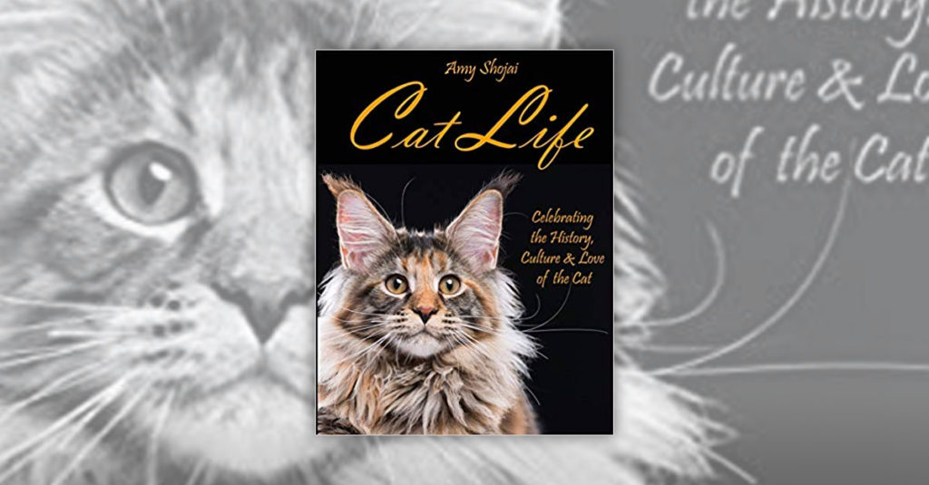 Cat Books R Amazing! - Cat Life