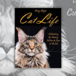 Cat Books R Amazing! - Cat Life