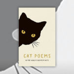 Cat Books R Amazing! - Cat Poems