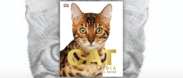 Cat Books R Amazing! - The Cat Encyclopedia