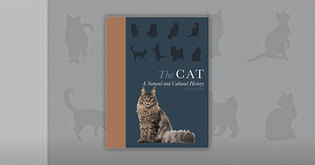 Cat Books R Amazing! - The Cat History