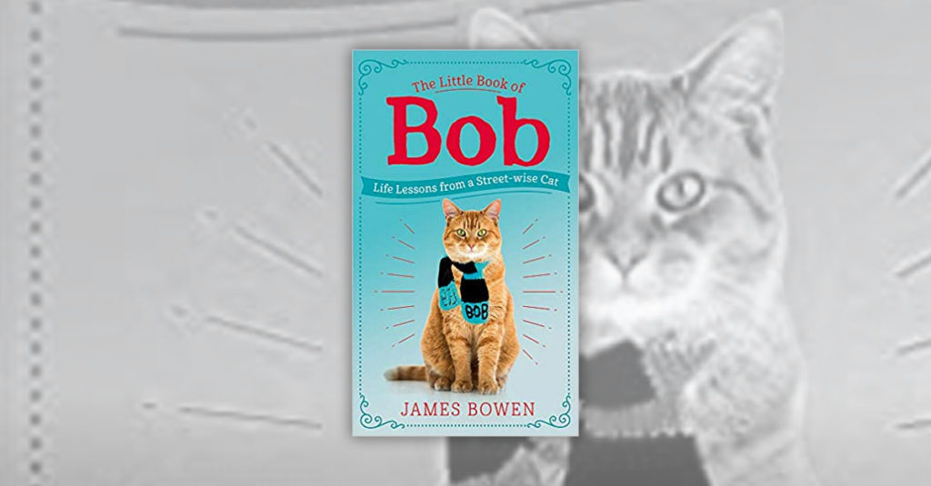 Cat Books R Amazing! - The Little Book of Bob