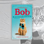 Cat Books R Amazing! - The Little Book of Bob